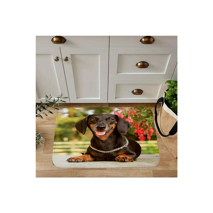 Cute Animal-Themed Kitchen Mat
