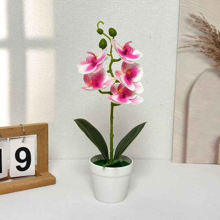 Decorative Artificial Orchid for Home Decor Display