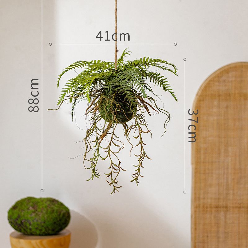 Hanging Fern Plant Decoration