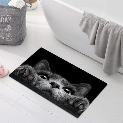 Soft Bathroom Floor Mat