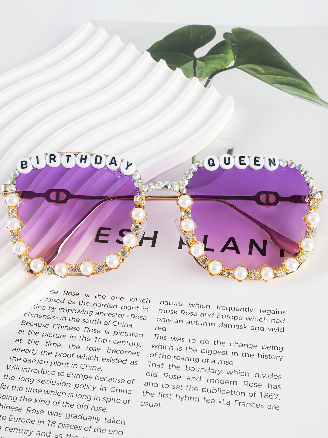 Fashion Sunglasses Kalsten