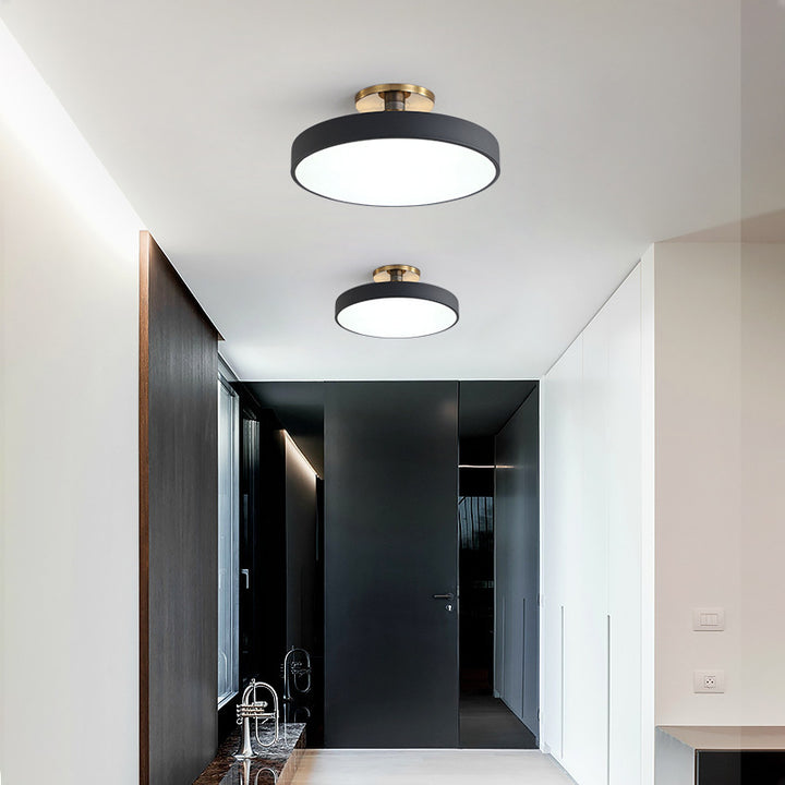 Contemporary Flush Mount Ceiling Light