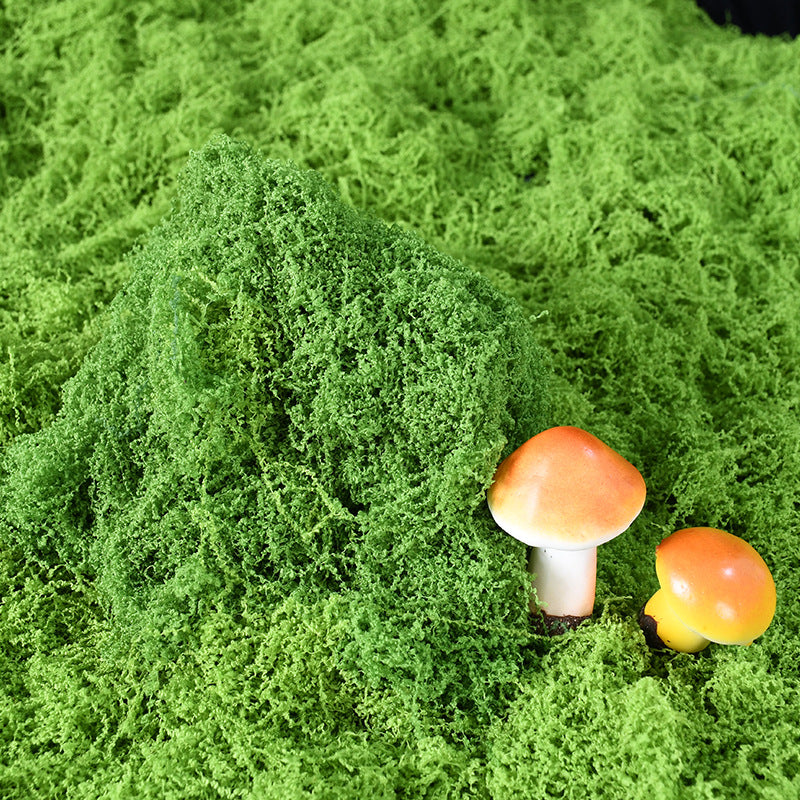 Decorative Moss and Mushroom Arrangement