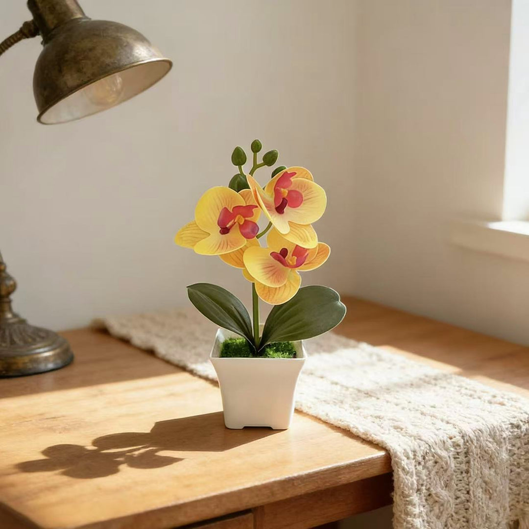 Realistic Artificial Orchid in Decorative Plant Pot for Decor