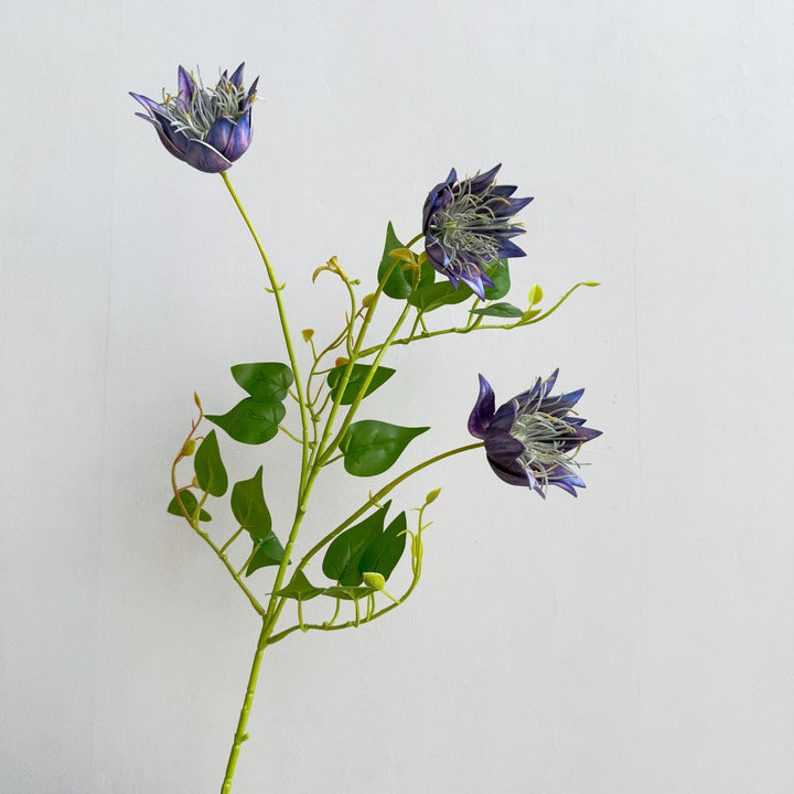 Exotic Flora Arrangement