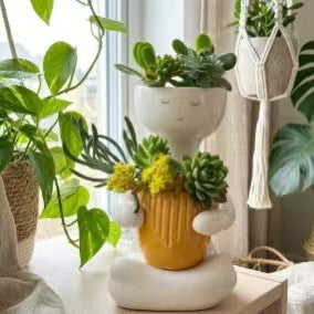 Decorative Ceramic Planter Kalsten