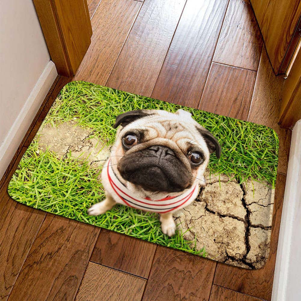 Decorative Cat Welcome Mat Kalsten