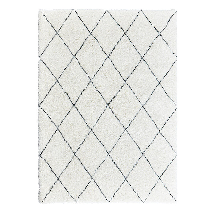 Home Décor Area Rug for Indoor Display
