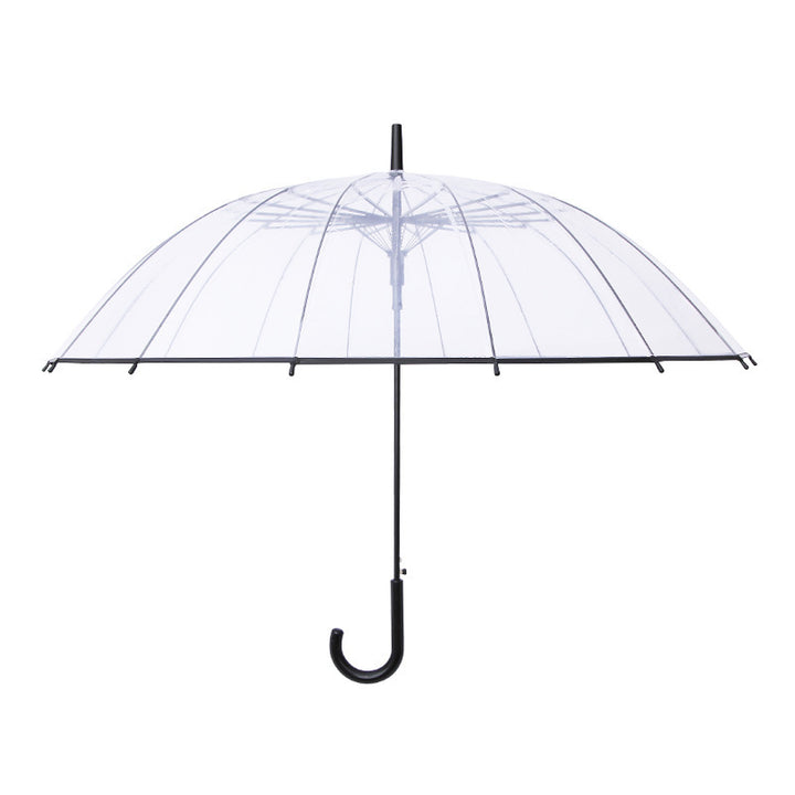 Women Transparent Design Folding Umbrella Kalsten
