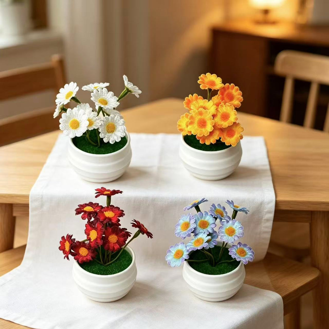 Decorative Daisy Plant Arrangement
