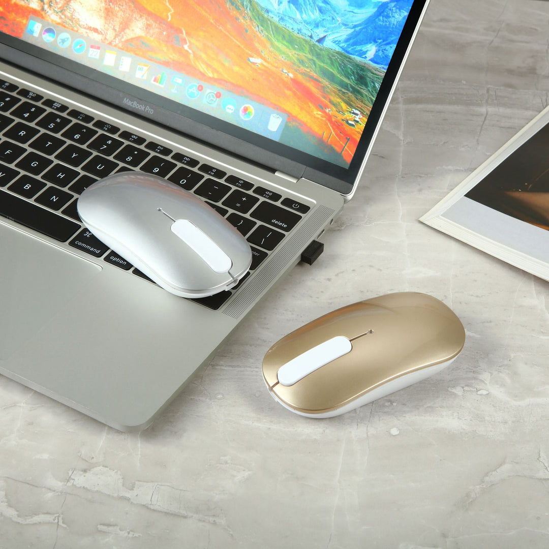 Wireless Ergonomic Mouse Kalsten