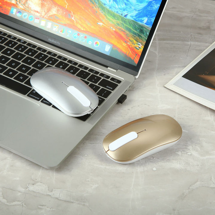 Wireless Ergonomic Mouse Kalsten