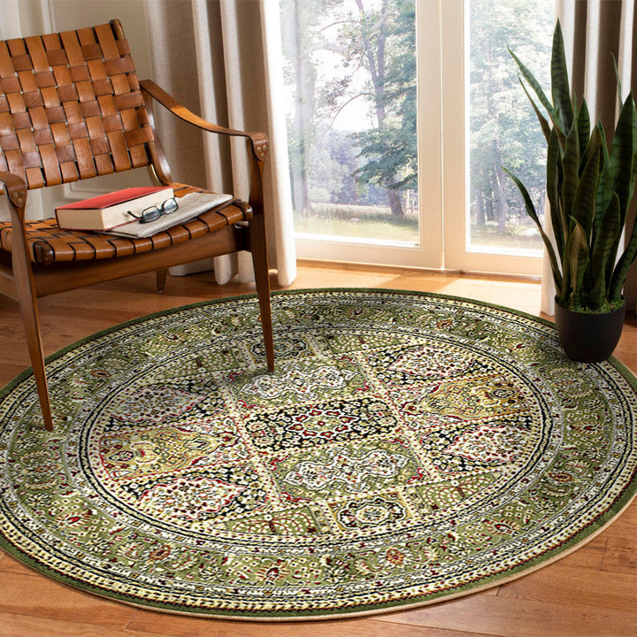 Elegant Oriental Area Rug