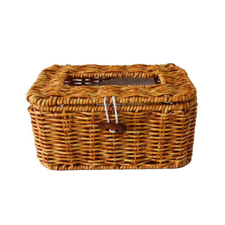 Handcrafted Woven Storage Organizer with Lid Kalsten
