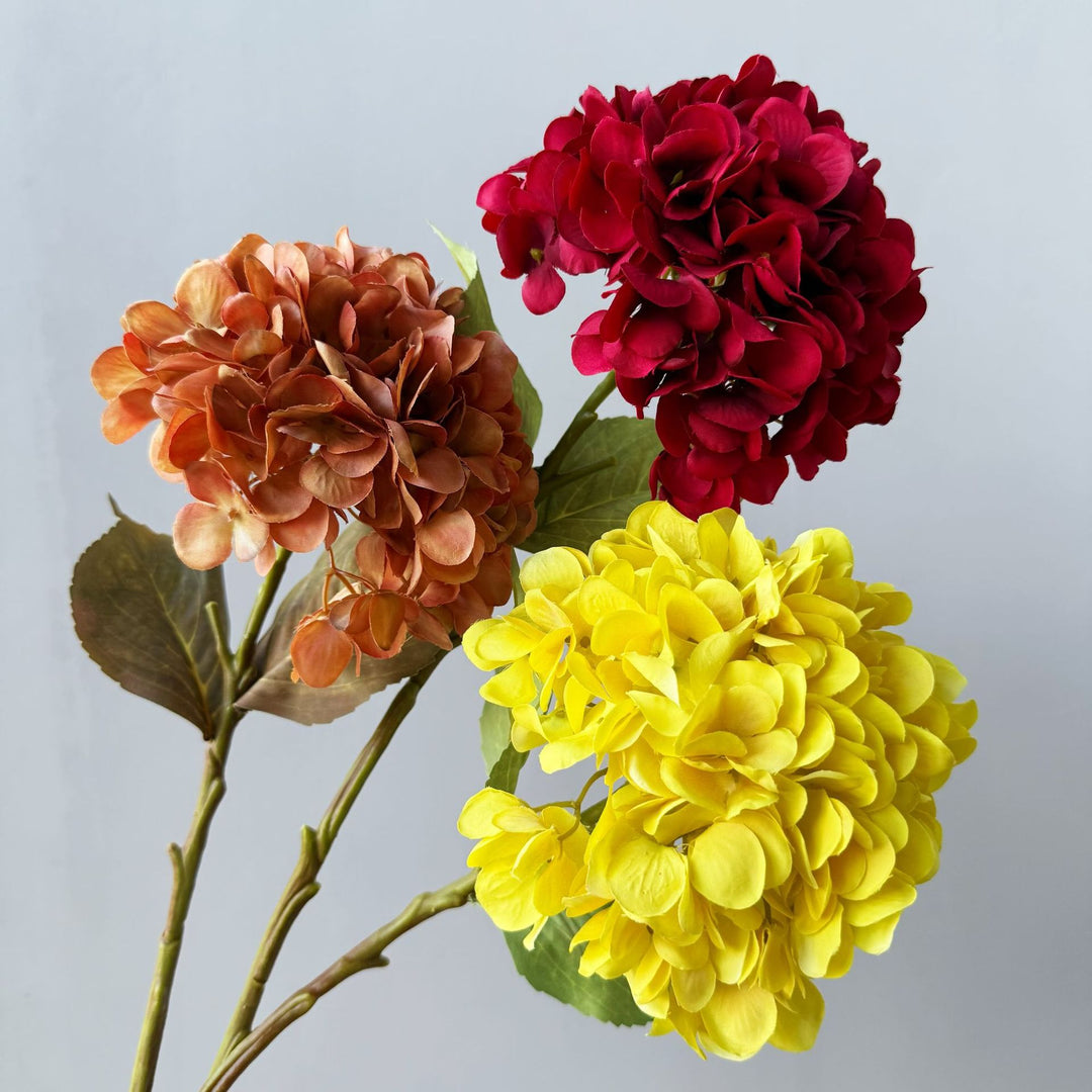 Floral Decorative
