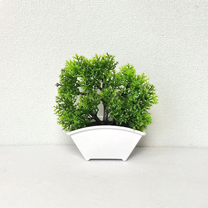 Decorative Bonsai Tree 1790480631 for Home Decor