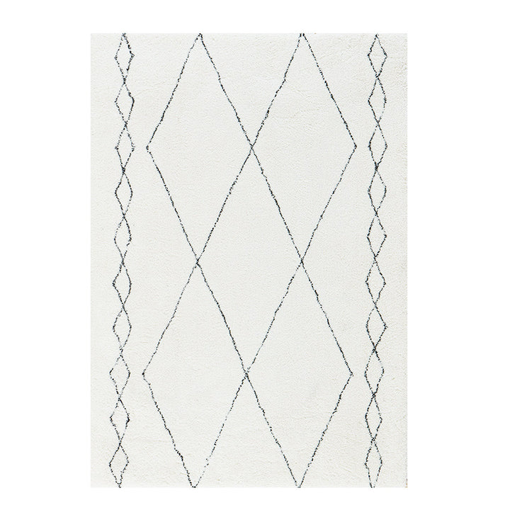 Home Décor Area Rug for Indoor Display