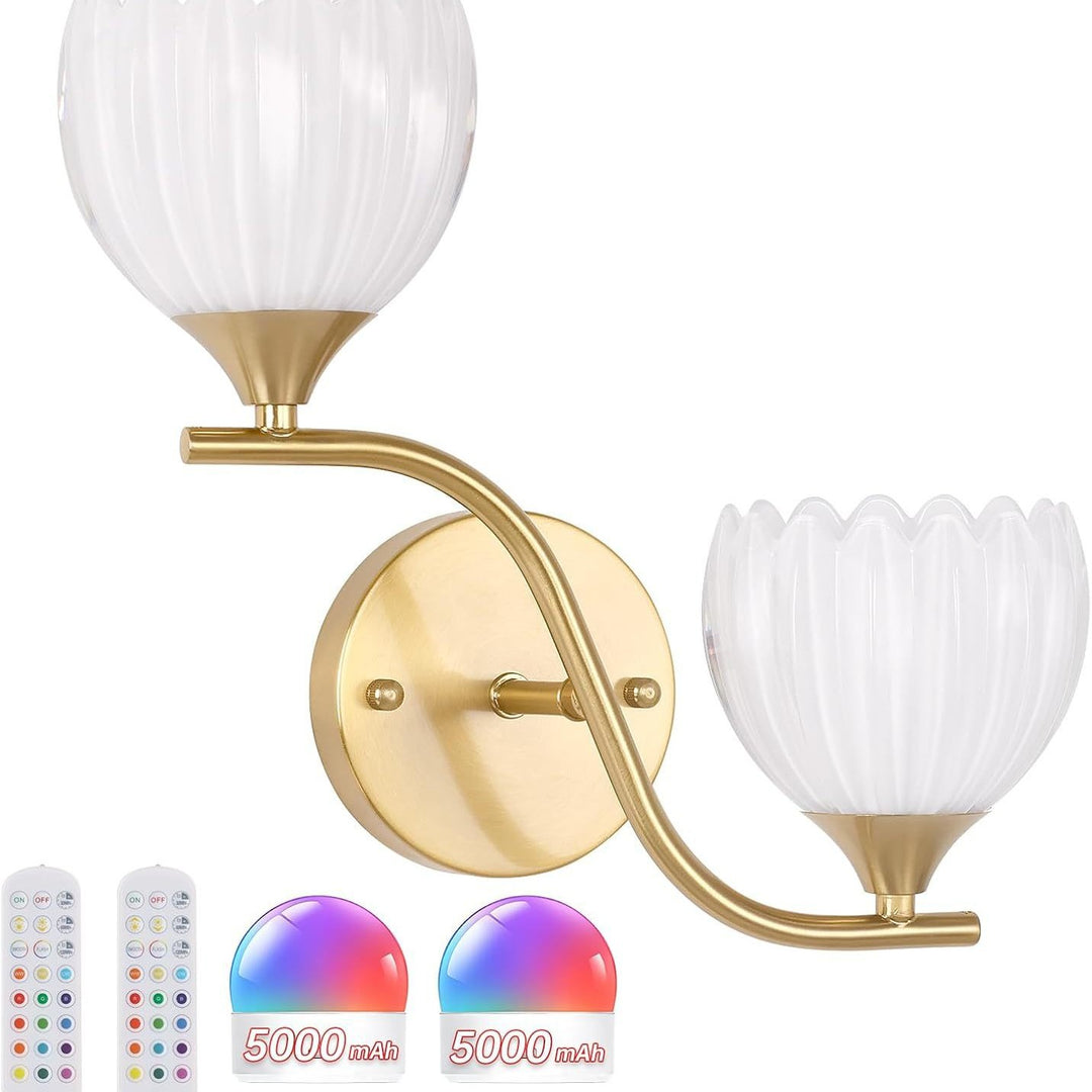 Decorative Wall Sconce