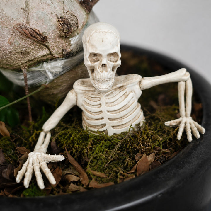Half Skeleton Decoration for Planters made of Weatherproof Resin