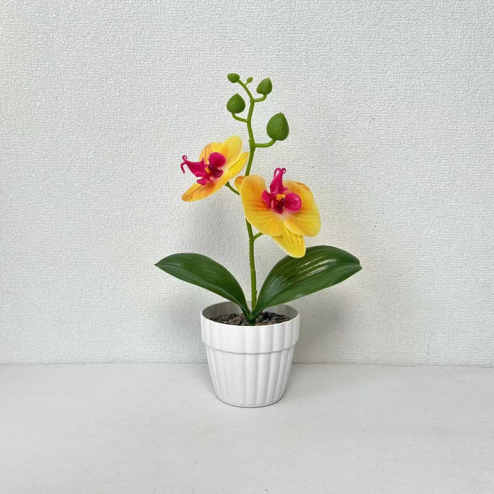 Lifelike Orchid Plant in Decorative Ceramic Pot for Decor