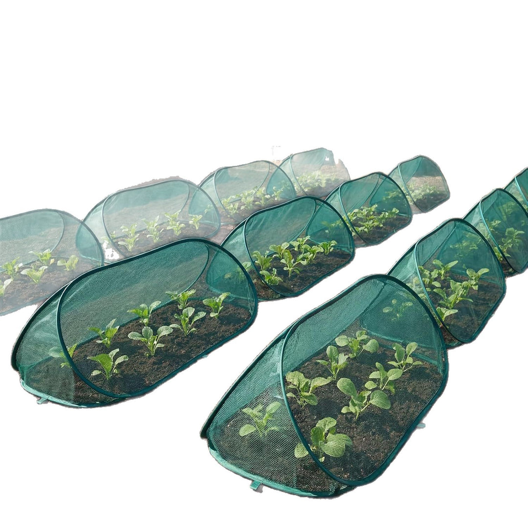 Garden Plant Protection Kalsten