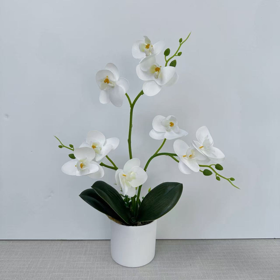 Decorative Orchid for Home Decor Display