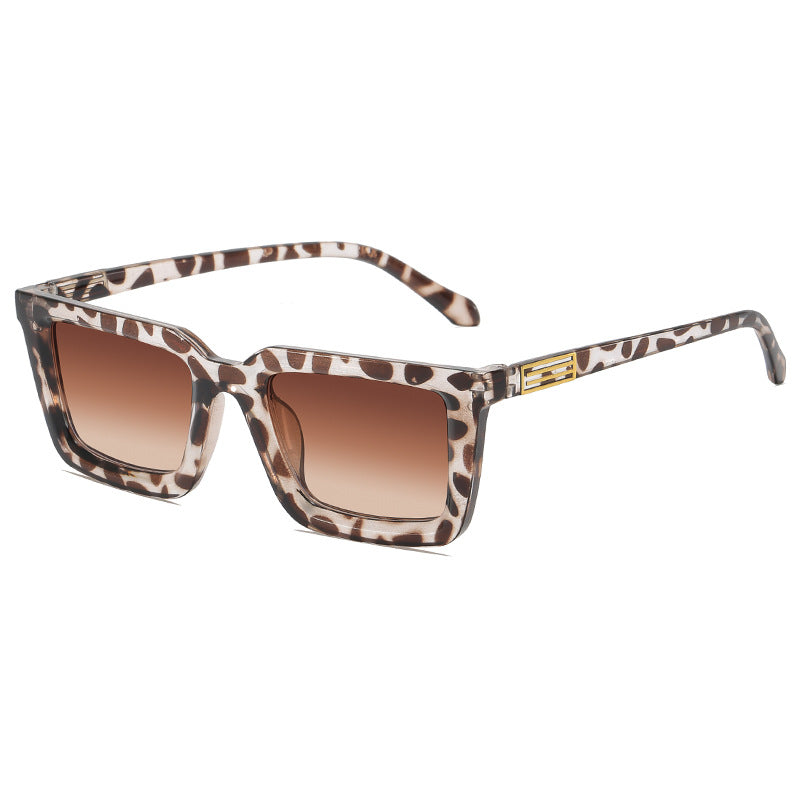 Clear Frame Fashion Sunglasses Kalsten