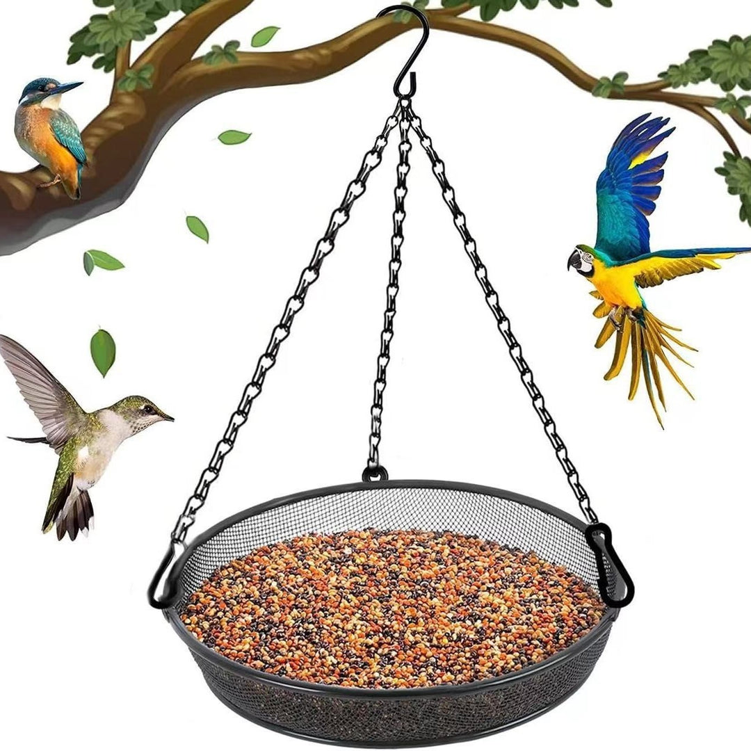 Bird Bath and Feeder Kalsten