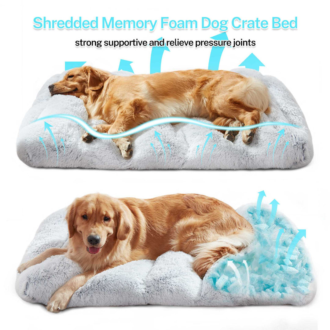 Orthopedic Dog Bed