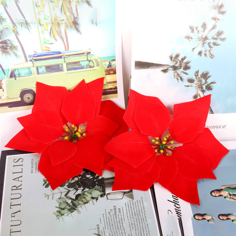 Decorative Poinsettia Plant Arrangement Kalsten