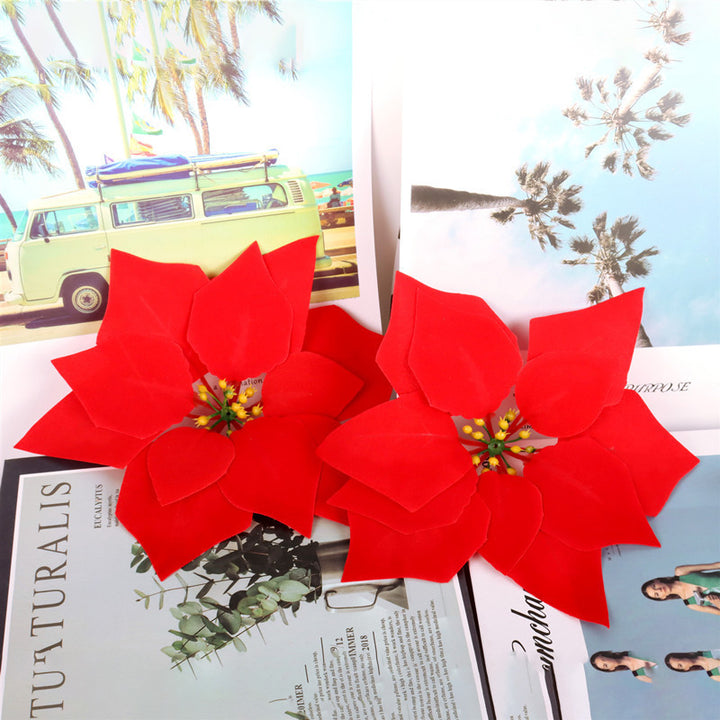 Decorative Poinsettia Plant Arrangement Kalsten