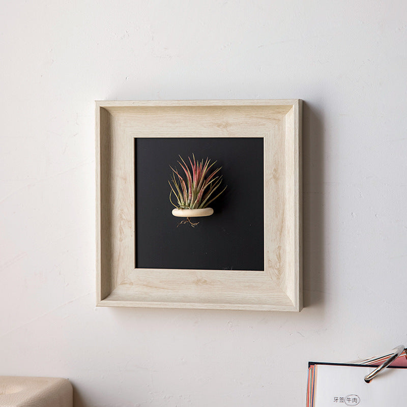 Artistic Plant Display Frame for Home Decor