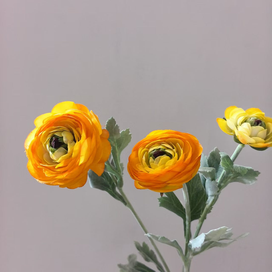 Realistic Ranunculus Floral Stem