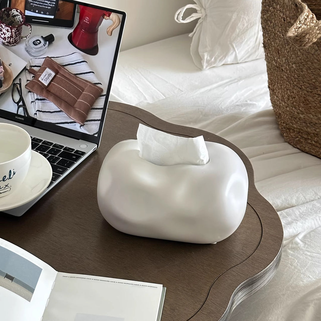 Modern Abstract Tissue Box Holder