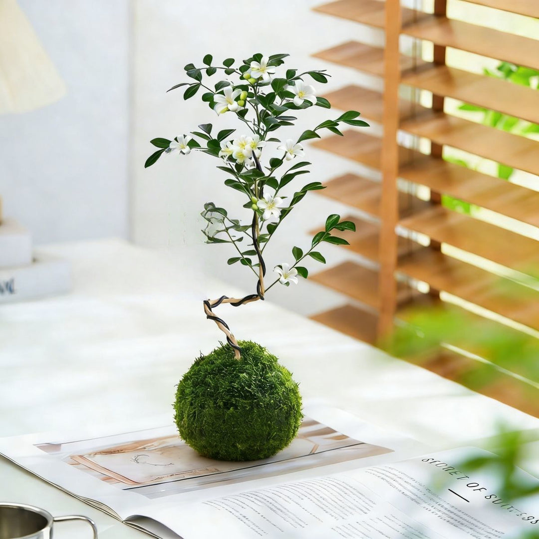 Decorative Miniature Bonsai Tree Arrangement
