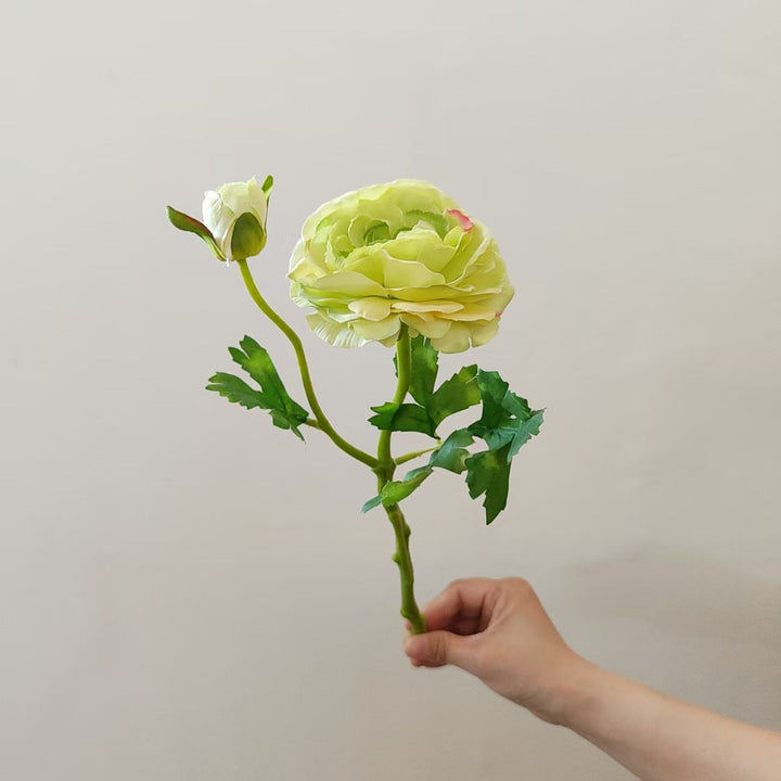 Premium Realistic Garden Rose Stem