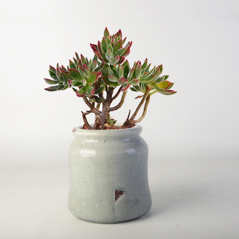 decorative storage pot Kalsten