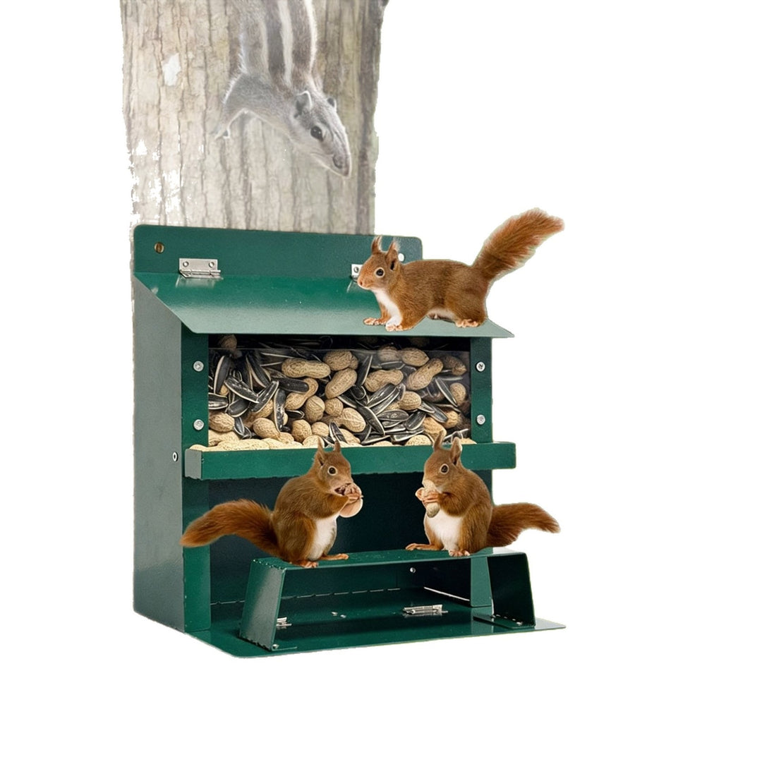 Decorative Wall-Mounted Bird Feeder Kalsten