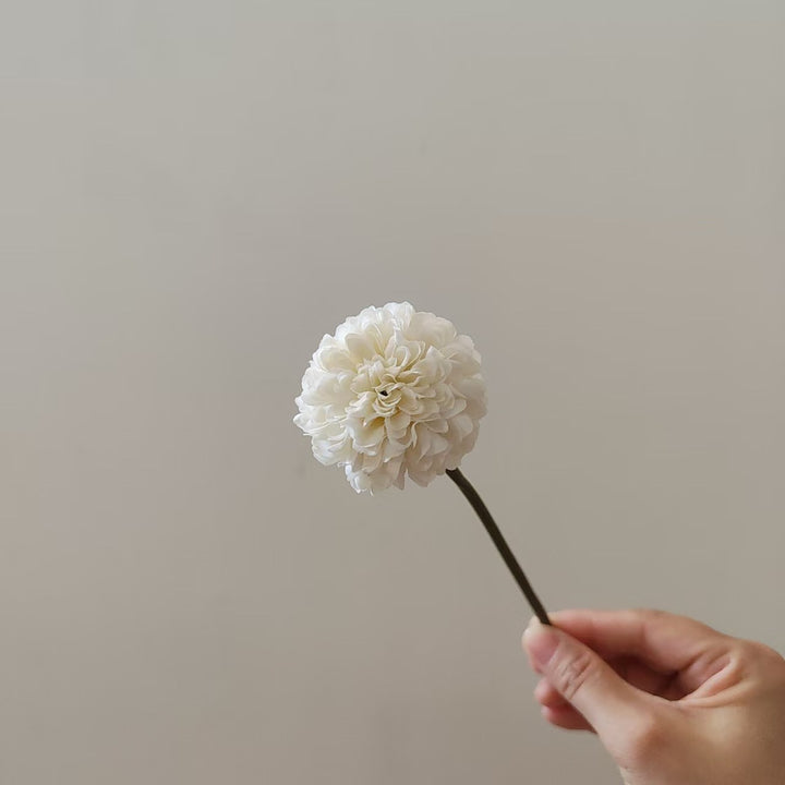 Elegant Floral Stem
