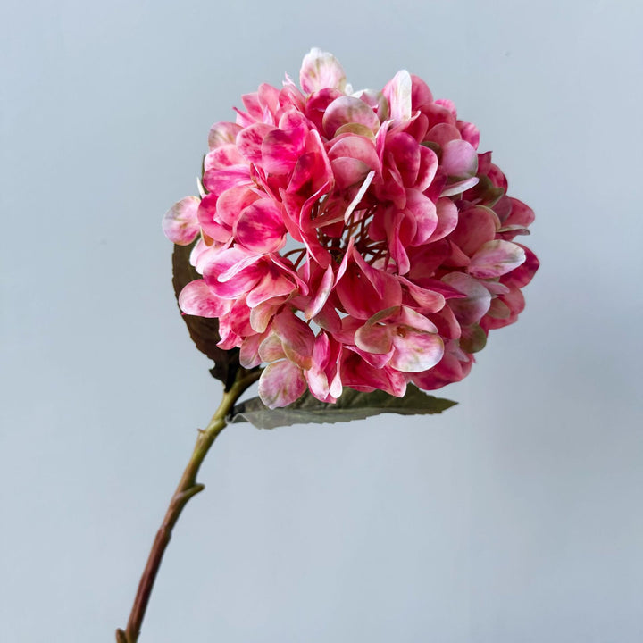 Floral Decorative