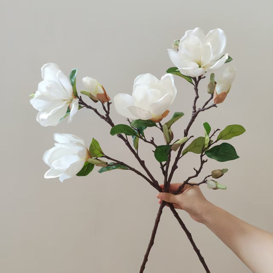 Realistic Magnolia Blossom Stem
