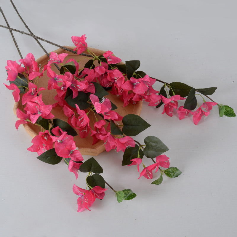 Decorative Bougainvillea Floral Vine