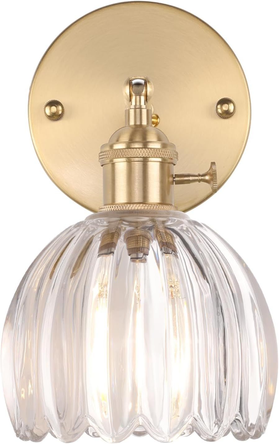 Elegant Glass Wall Sconce