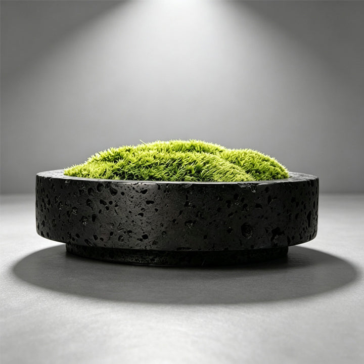 Stylish Decorative