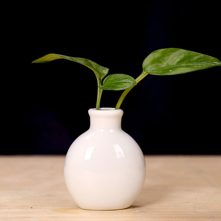 Miniature Ceramic Plant Holder Kalsten