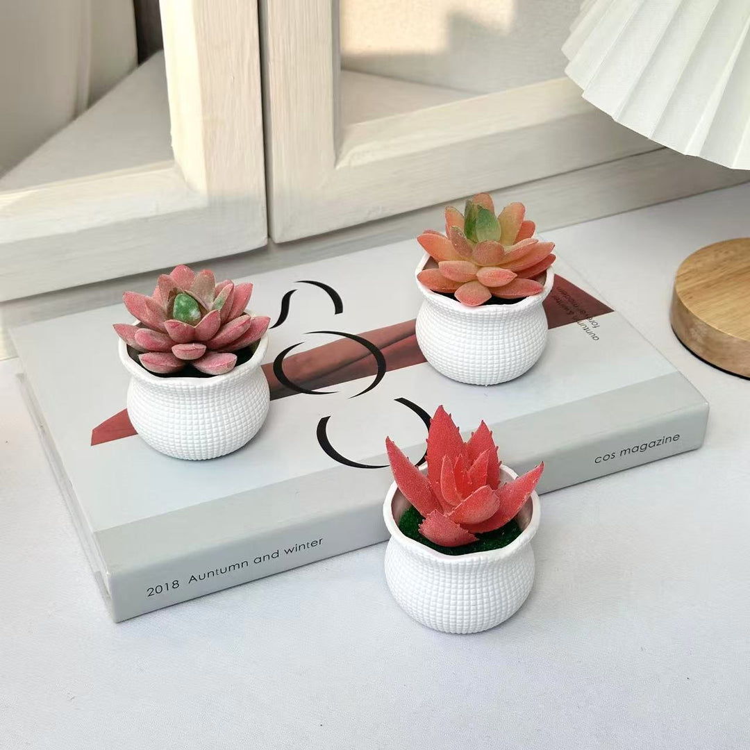 Decorative Faux Cactus Arrangement