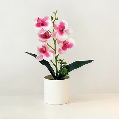 Artificial Orchid Plant for Home Decor and Indoor Display
