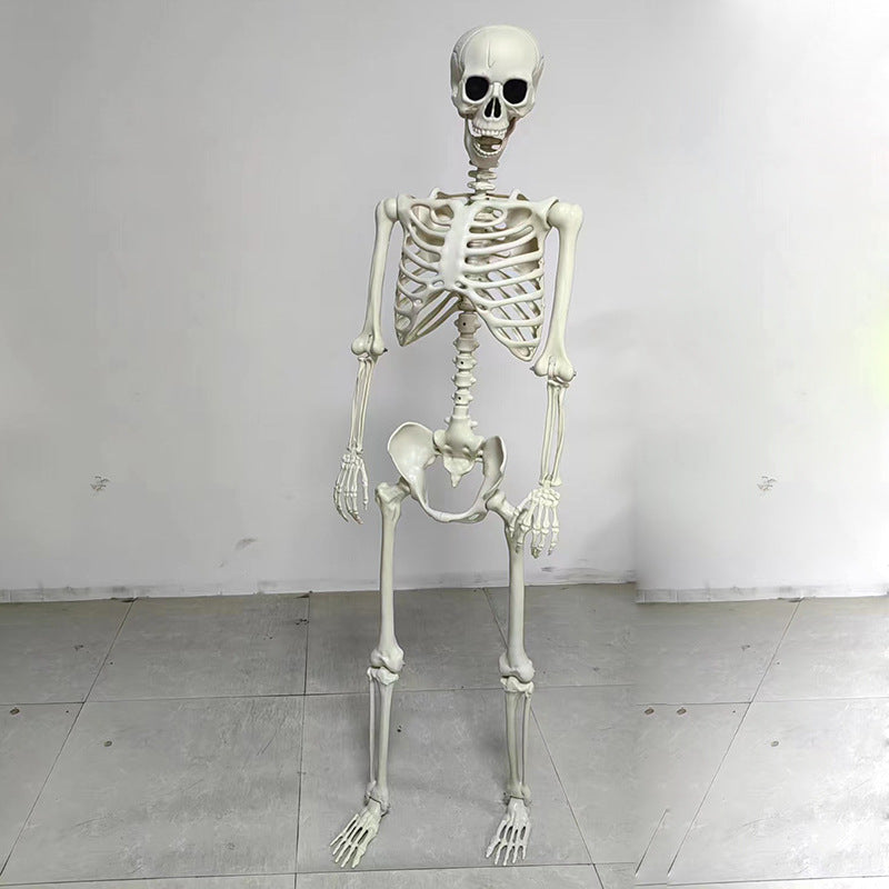 Life-size, posable decorative skeleton made of sturdy plastic with movable joints and stable stand construction