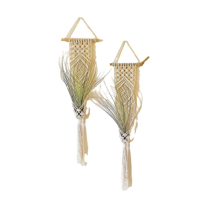Macrame Wall Hanging Plant Holder Kalsten