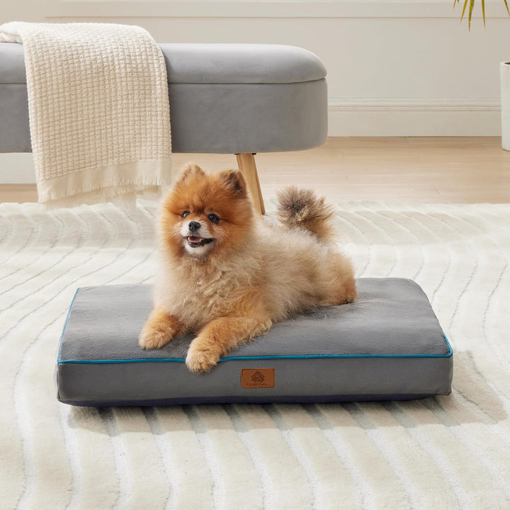Orthopedic Support Dog Bed